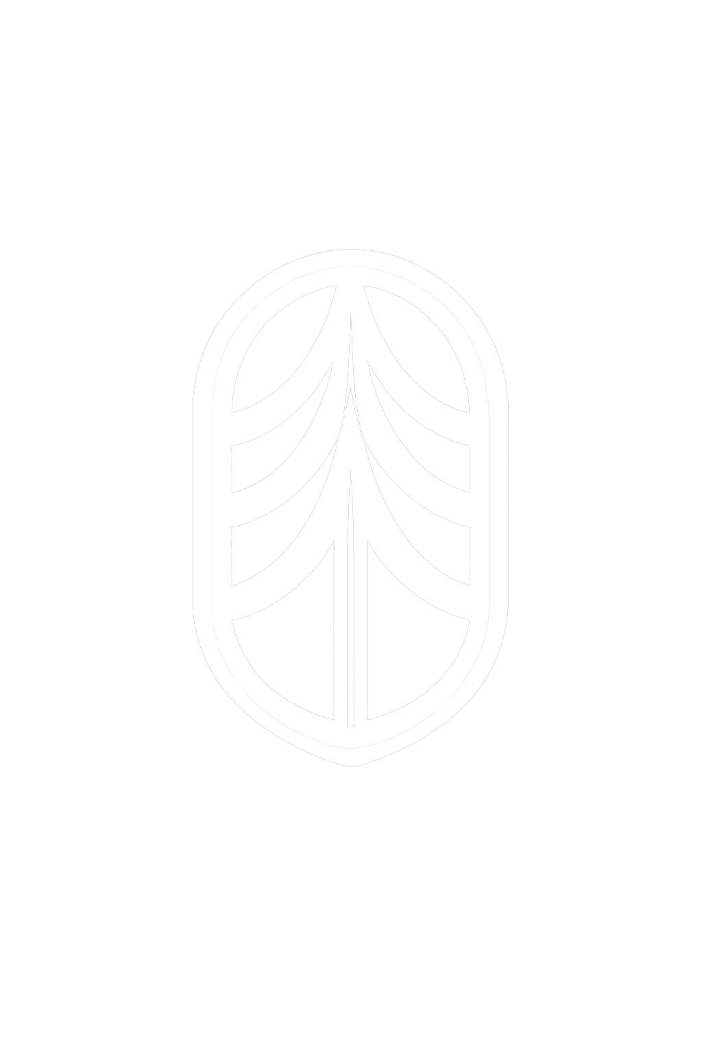 Mount Shasta logo